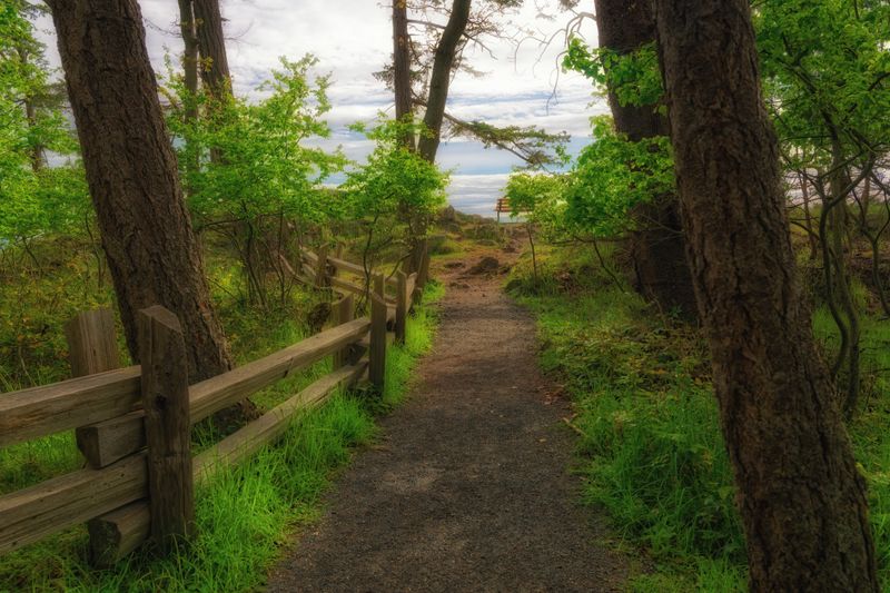 Adventures on Vancouver Island