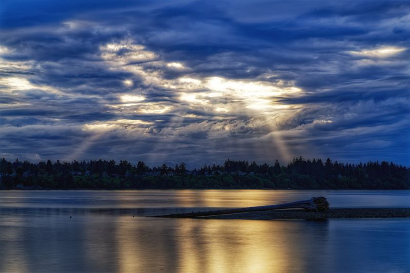 Close to Home on Vancouver Island