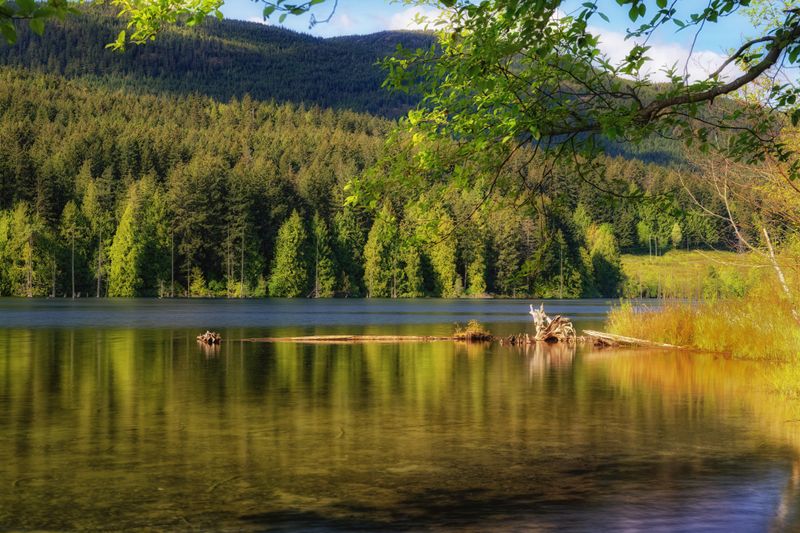 Close to Home on Vancouver Island