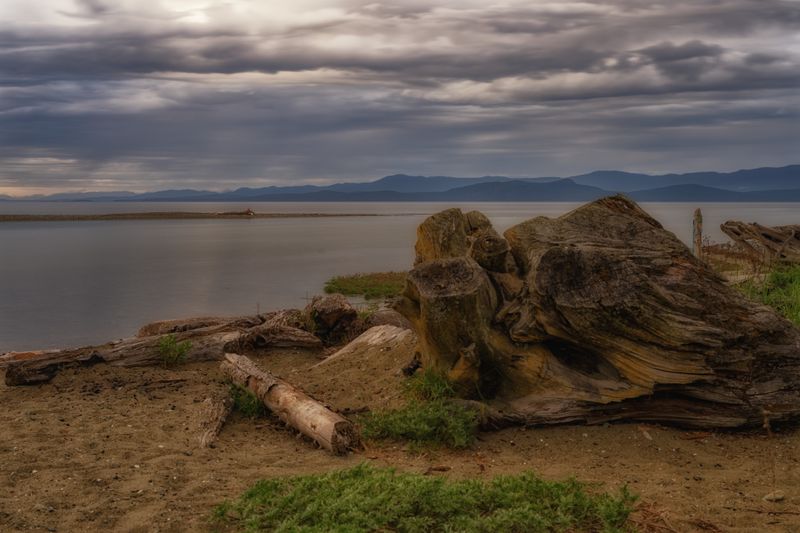 Adventures on Vancouver Island