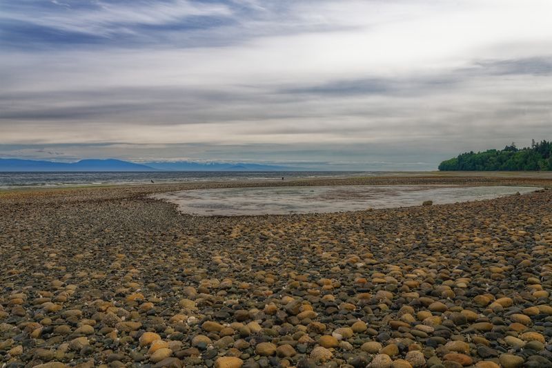 Close to Home on Vancouver Island