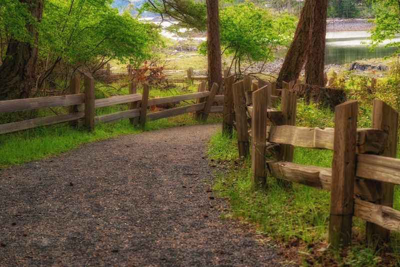 Close to Home on Vancouver Island