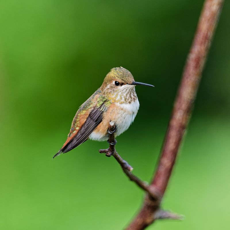 GM5_2144_DxO.jpg