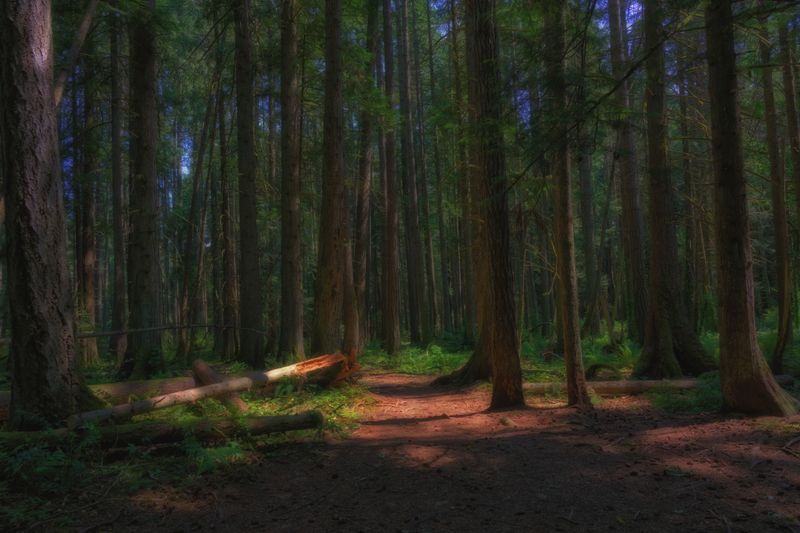 Close to Home on Vancouver Island