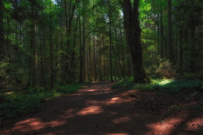 Adventures on Vancouver Island