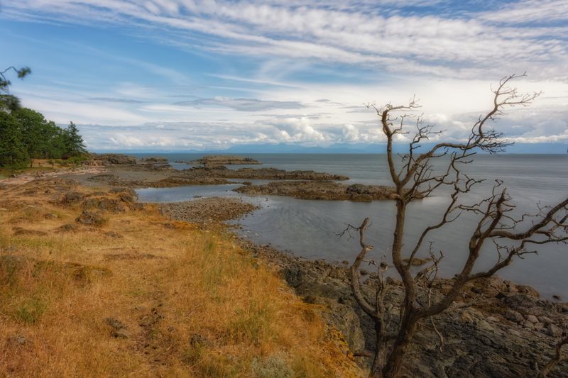 Seascapes