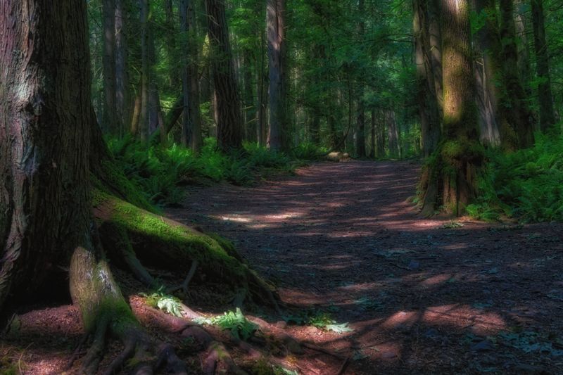 Adventures on Vancouver Island