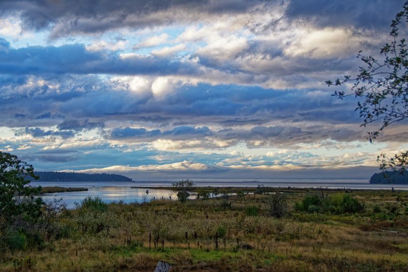 Adventures on Vancouver Island