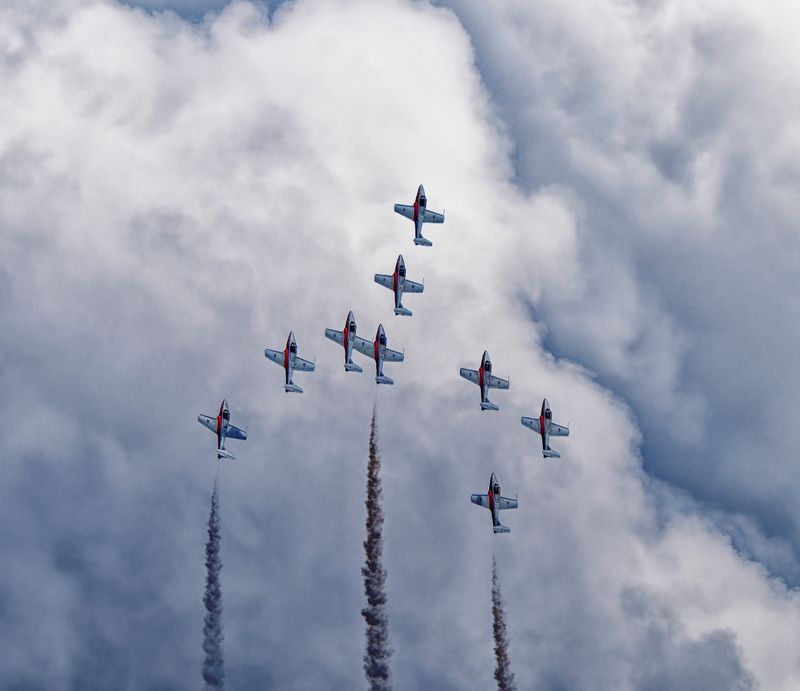 RCAF  - Snowbirds