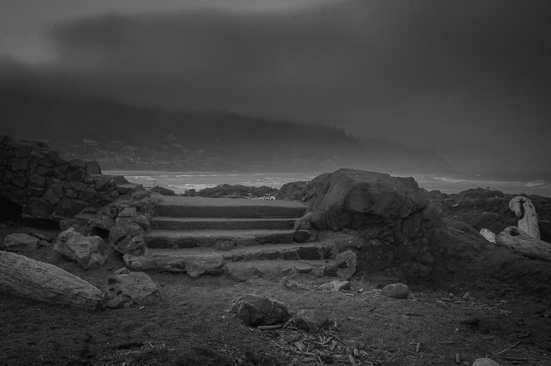 DSC_5511.jpg