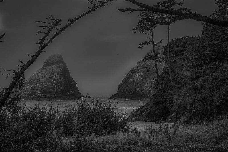 DSC_5538.jpg