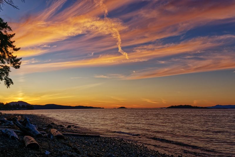 Close to Home on Vancouver Island