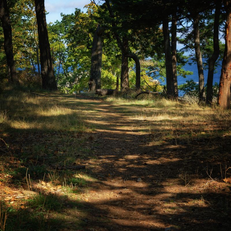 Adventures on Vancouver Island