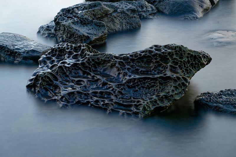 Close to Home on Vancouver Island