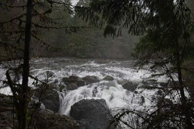 g13/82/941082/3/173330631.8ec783ed.JPEG