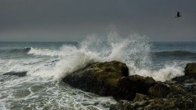g13/82/941082/3/174201896.a45d83b5.JPEG