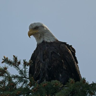 g13/82/941082/3/174480456.91f70d45.JPEG