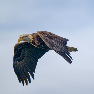 g13/82/941082/3/175323230.c4f3d3d5.JPEG