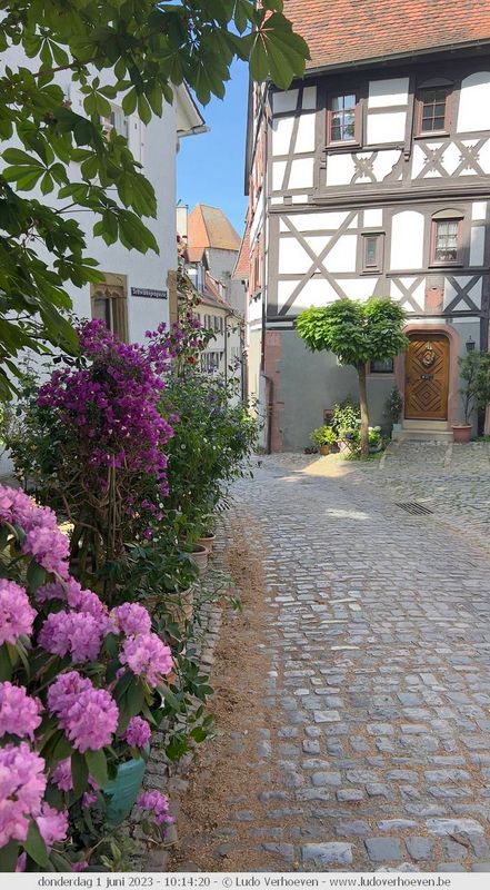 Bad Wimpfen (Neckar)