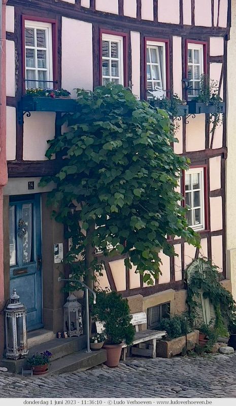 Bad Wimpfen (Neckar)