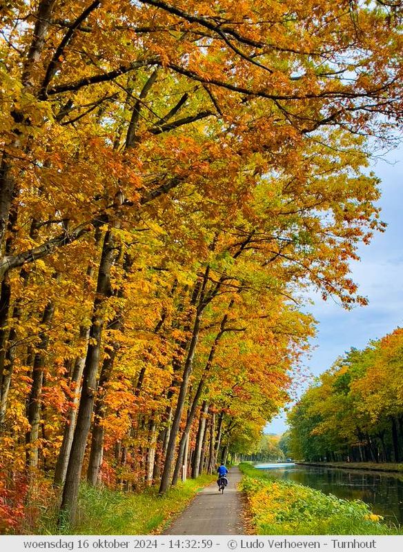 Autumn colours / Herfstkleuren