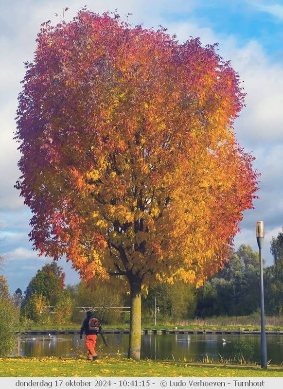 Autumn colours / Herfstkleuren
