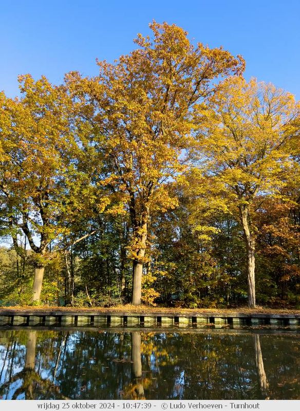 Autumn colours / Herfstkleuren