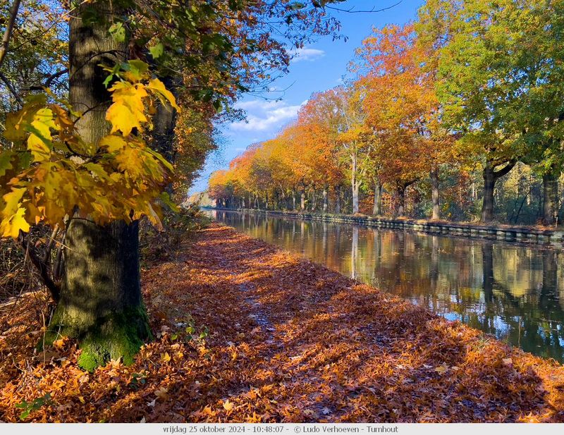 Autumn colours / Herfstkleuren