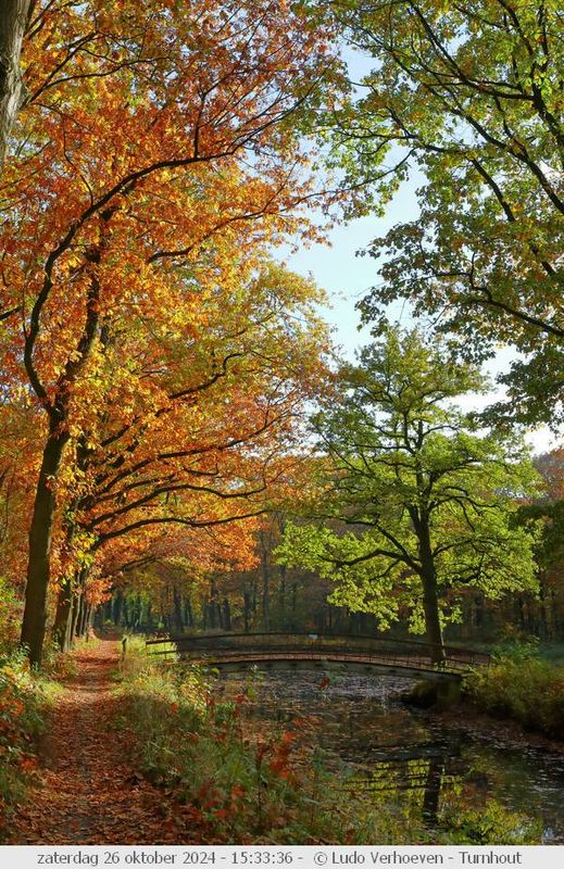 Autumn colours / Herfstkleuren
