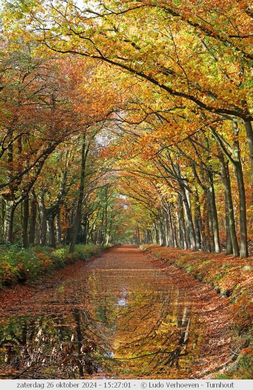 Autumn colours / Herfstkleuren