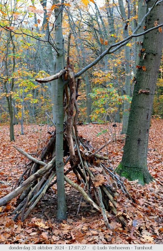 Autumn colours / Herfstkleuren