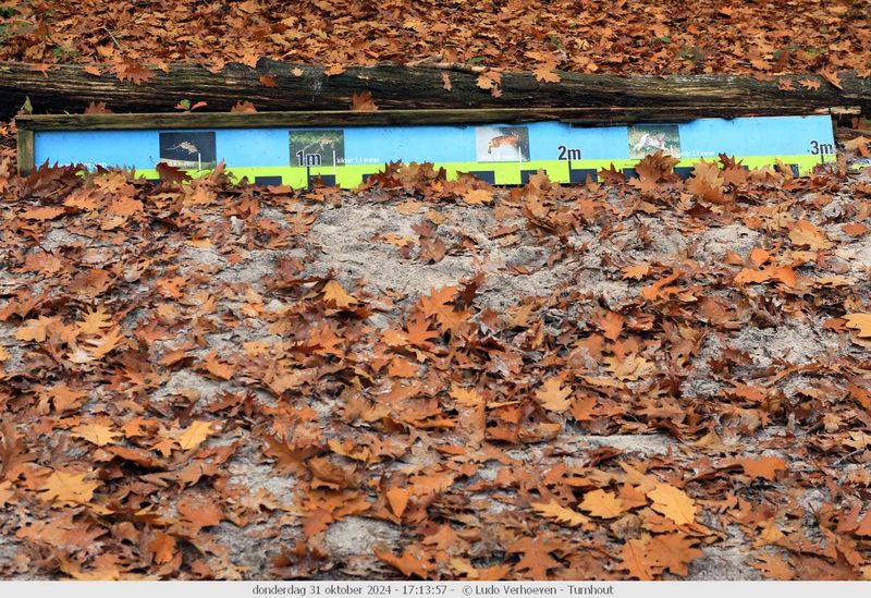Autumn colours / Herfstkleuren