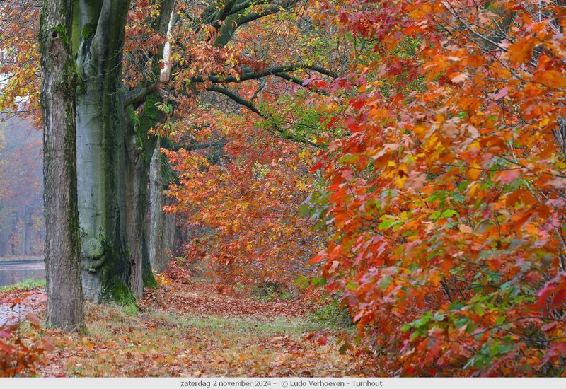 Autumn colours / Herfstkleuren
