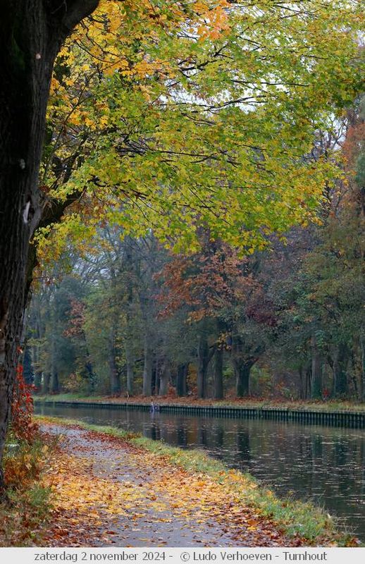 Autumn colours / Herfstkleuren