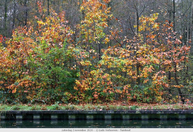 Autumn colours / Herfstkleuren