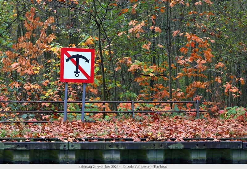 Autumn colours / Herfstkleuren