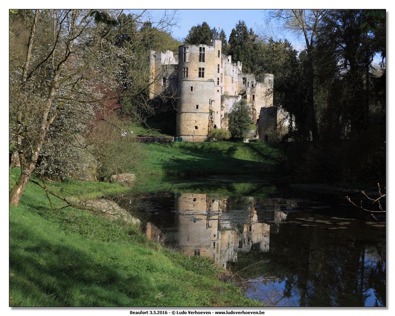 GALLERY: Beaufort (L)