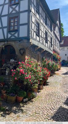 Bad Wimpfen (Neckar)