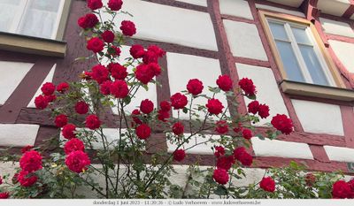 g13/83/3783/3/173760564.3b376c52.JPEG