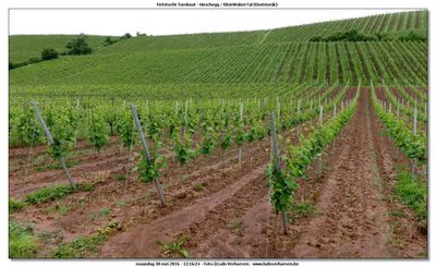KWT-FT_2016-05-30_066.jpg