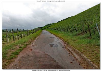 KWT-FT_2016-05-30_067.jpg