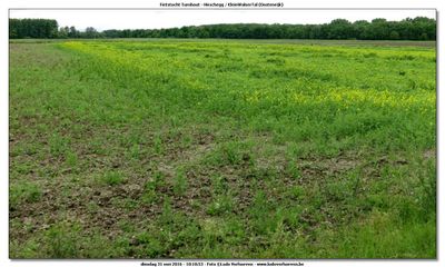 KWT-FT_2016-05-31_104.jpg