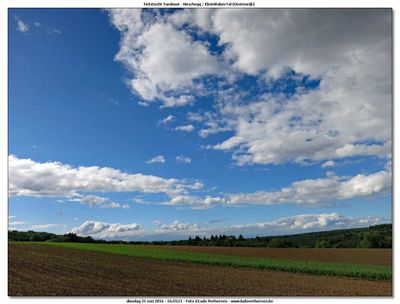 KWT-FT_2016-05-31_142.jpg