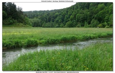 KWT-FT_2016-06-02_180.jpg