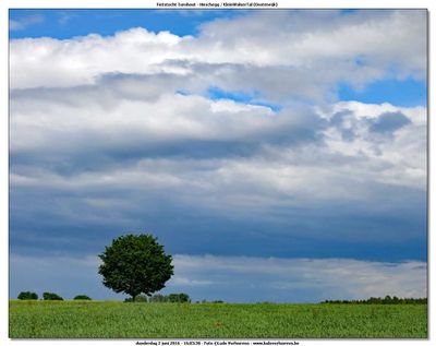 KWT-FT_2016-06-02_204.jpg