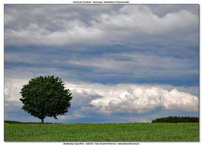 KWT-FT_2016-06-02_205.jpg