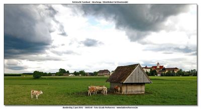 KWT-FT_2016-06-02_210.jpg