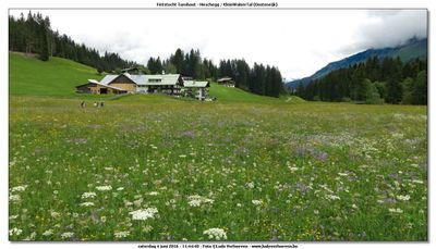 KWT-FT_2016-06-04_276.jpg