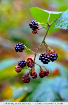 g13/83/3783/3/175057563.db3c76d9.JPEG