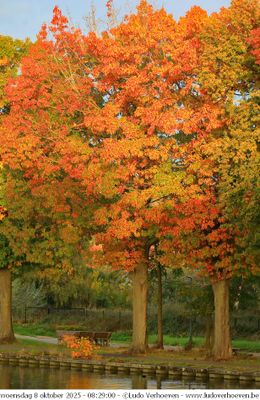 Herfst - Autumn - Herbst - Automne 